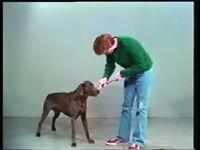 1981_1990\1989.0070i.jpg; 1989.0070; ;